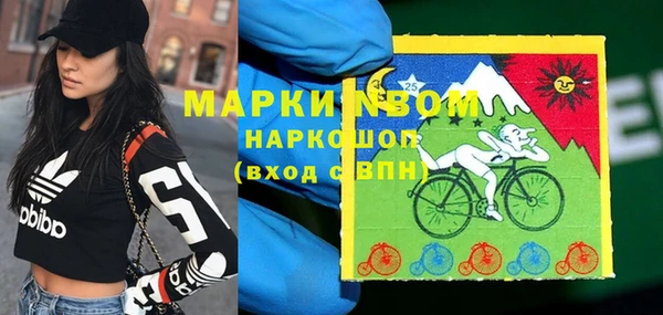кокс Арсеньев