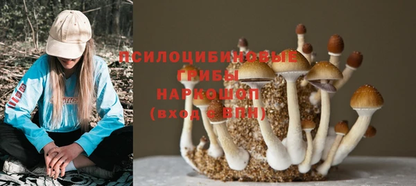 кокс Арсеньев