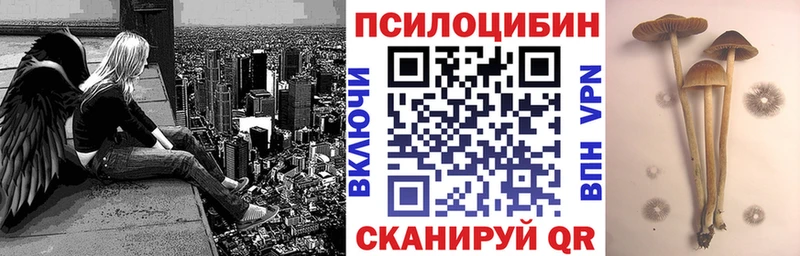 Галлюциногенные грибы Magic Shrooms  где можно купить   Аша 